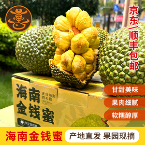 海南特产保亭榴莲蜜新鲜单果菠萝蜜软糯香甜食用顺丰包邮1个2斤装