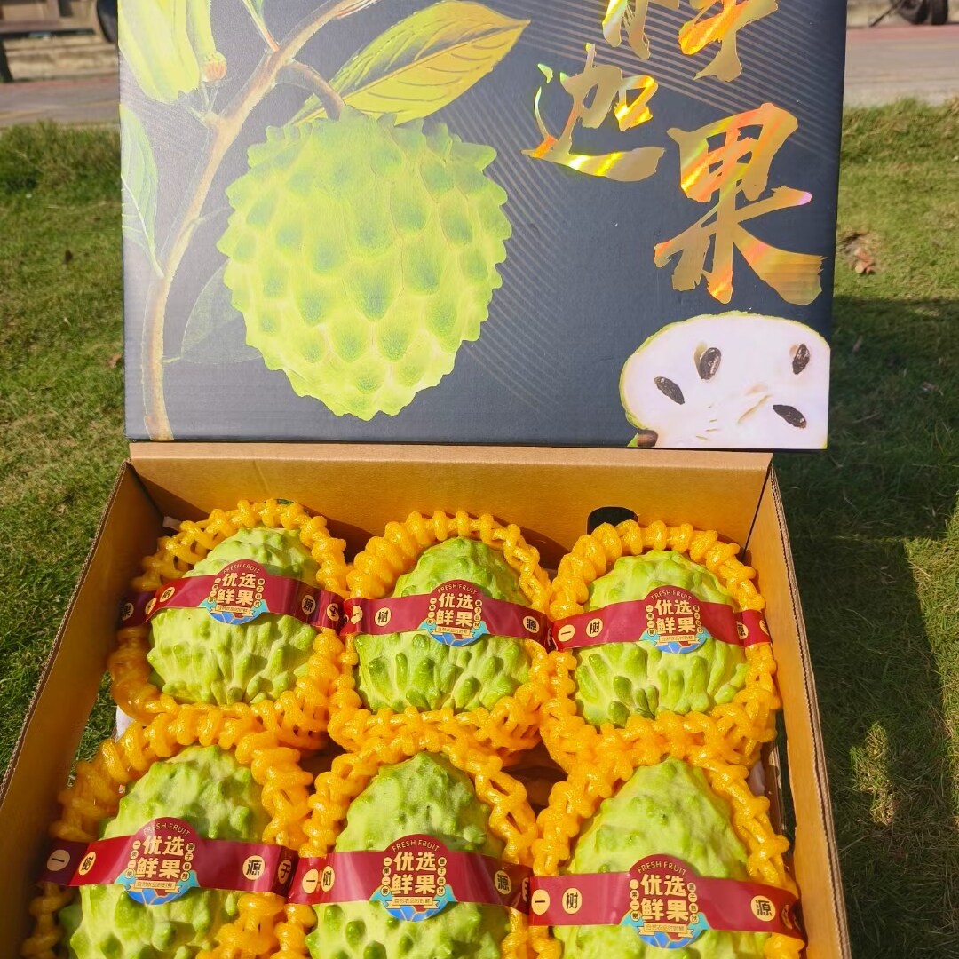 海南三亚产大目牛奶凤梨释迦果新鲜水果礼盒装送礼顺丰大果