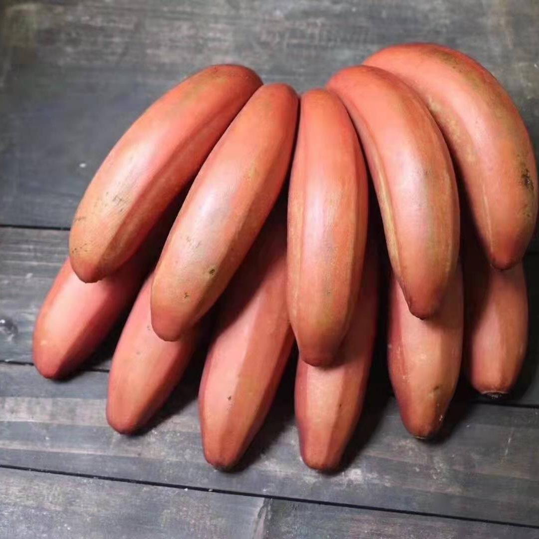 海南特产红皮美人蕉上现摘现发