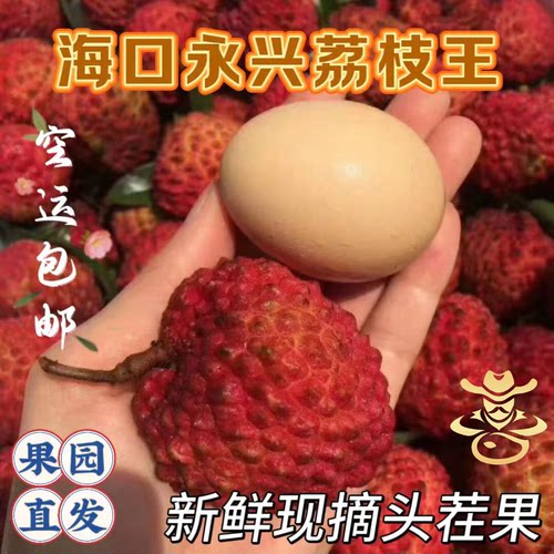 鲜甜多汁火山口荔枝王