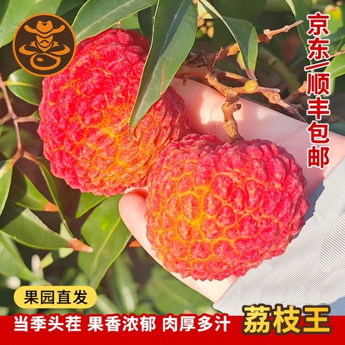 荔枝王4.5斤装礼盒顺丰空运