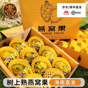 海南特产燕窝果特大白心火龙果麒麟果香甜新鲜水果礼盒装现摘现发