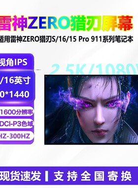 雷神ZERO16Pro启世M16猎刃S猎刃16/15/R16雷神911Plus笔记本屏幕