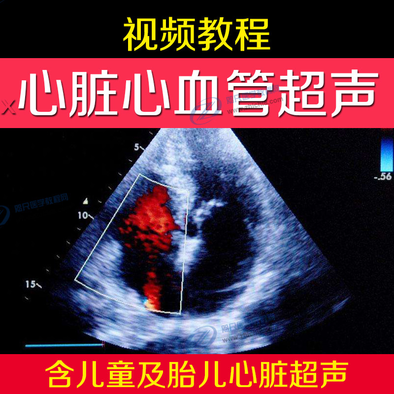 胎儿心脏心血管超声视频教程b超声心动图先心病影像诊断四肢动脉