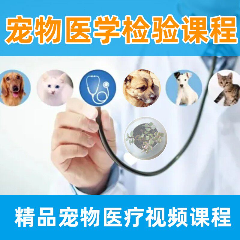 宠物小动物犬猫医学检查化验检验实操技术血气离子分析视频网课程