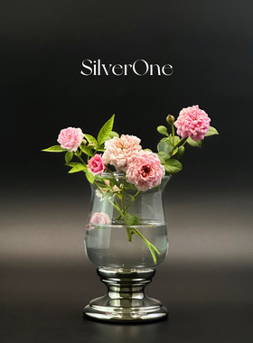 SilverOne家居玻璃陶瓷小花瓶摆件客厅插花饰品餐桌装饰摆设花器