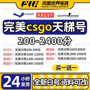完美csgo号新手老兵cs2账号成品小号天梯白号d号低分c号世界平台