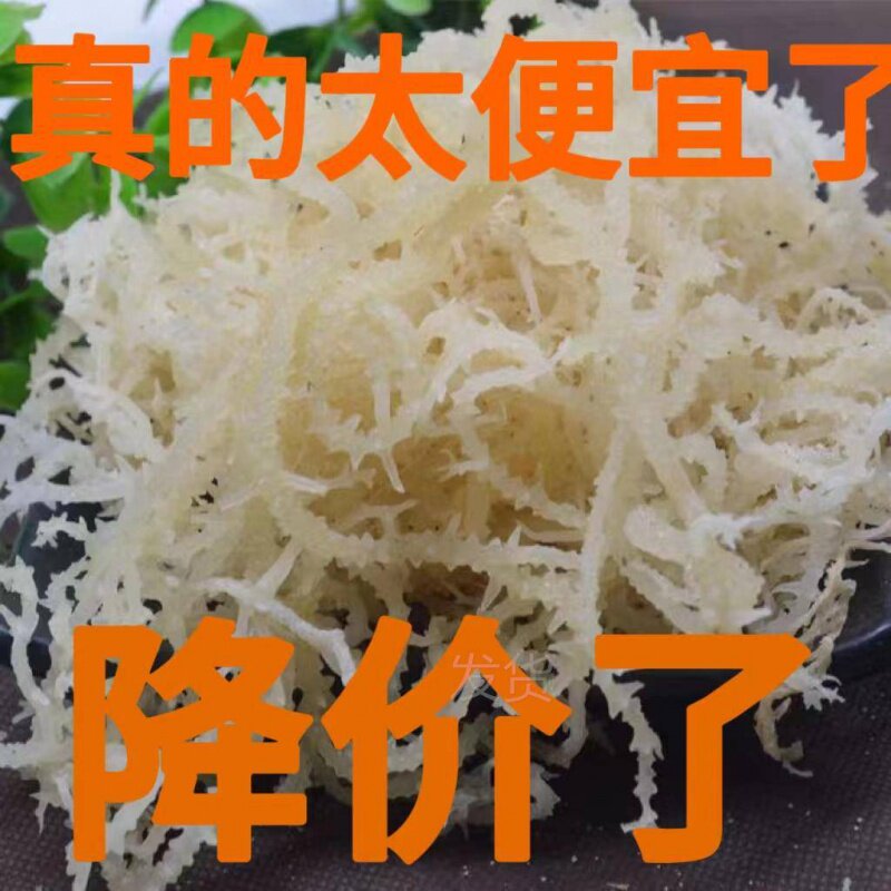 干到扎手龙须菜凉拌菜麒麟菜干货