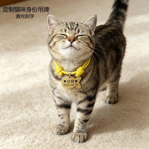 定制猫咪专用吊牌身份牌激光刻字身份牌不锈钢防走失幼猫成猫吊牌