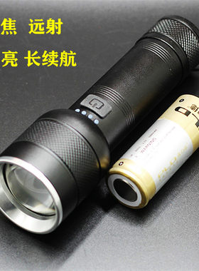强光手电筒派力德117小便携26650