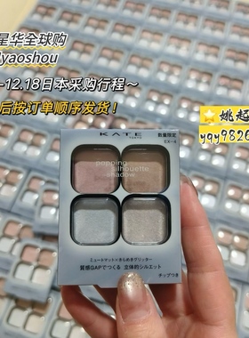 日本KATE凯朵四色眼影盘EX-5透明感低饱和度日常色RD-1 EX-4