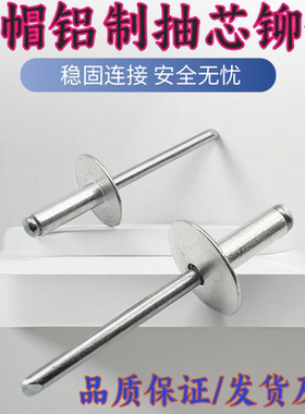 扁圆头汽车门板拉大帽沿抽芯铆钉