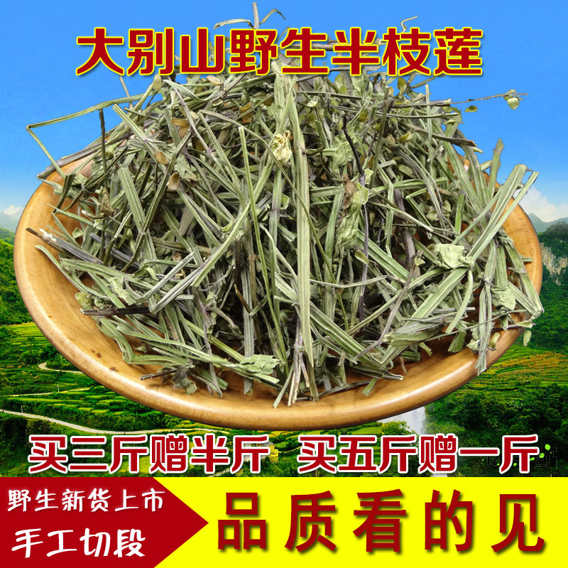 半支蓮包郵 中藥材半枝蓮挖耳草通經草500g 另售白花蛇舌草鐵樹葉