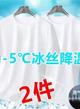 2022大码胖子冰丝网眼男夏季潮胖子镂空透气速干运动宽肩m-8xlT恤