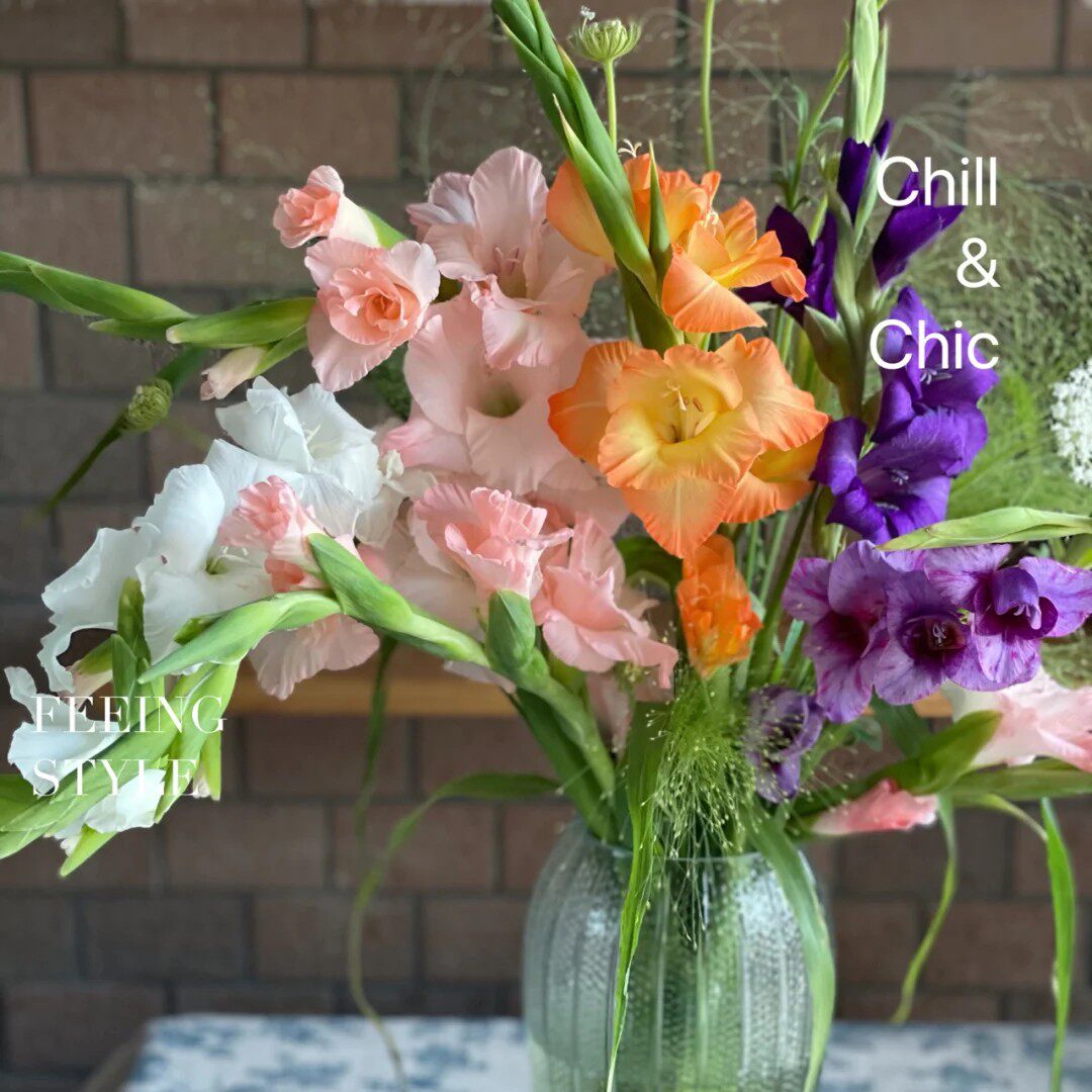 香芋浅紫复古香槟剑兰猫爪花边玫红粉白黄绿橙色唐菖蒲新鲜切花