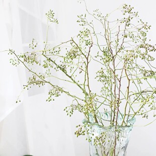 绿色山归来玫瑰南蛇藤蔷薇果子进口铁线莲永生干花插新鲜切花鲜花