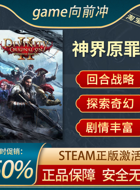 神界原罪2 Divinity: Original Sin 2 STEAM正版PC中文 探索奇幻