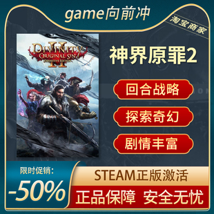 神界原罪2 Divinity: Original Sin 2 STEAM正版PC中文 游戏代购
