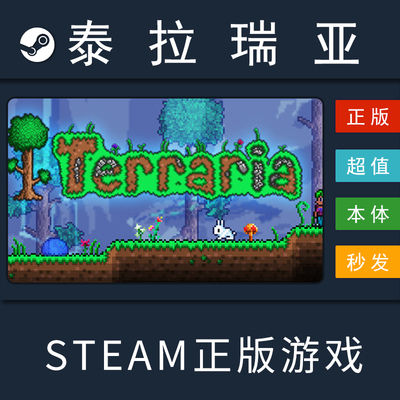 泰拉瑞亚STEAM正版秒发货