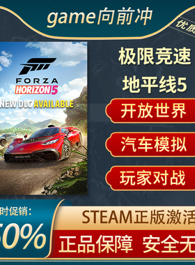 极限竞速 地平线5 Forza Horizon 5 STEAM正版 PC中文 玩家对战