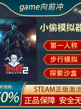 小偷模拟器2 STEAM正版 PC中文 Thief Simulator 2 模拟 潜行