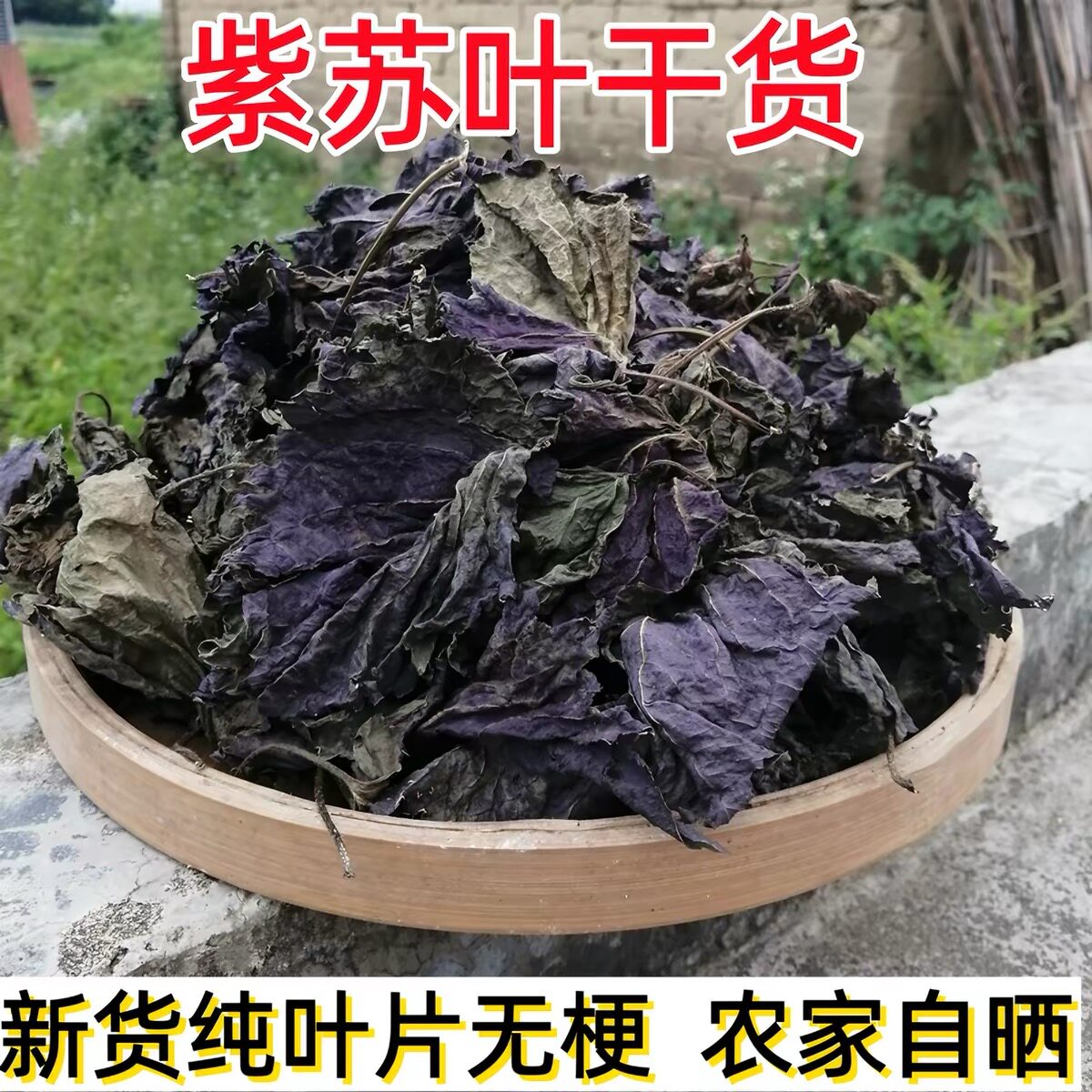 紫苏叶干货解暑去腥天然香料三伏天常备可泡茶煲汤炒菜代用茶