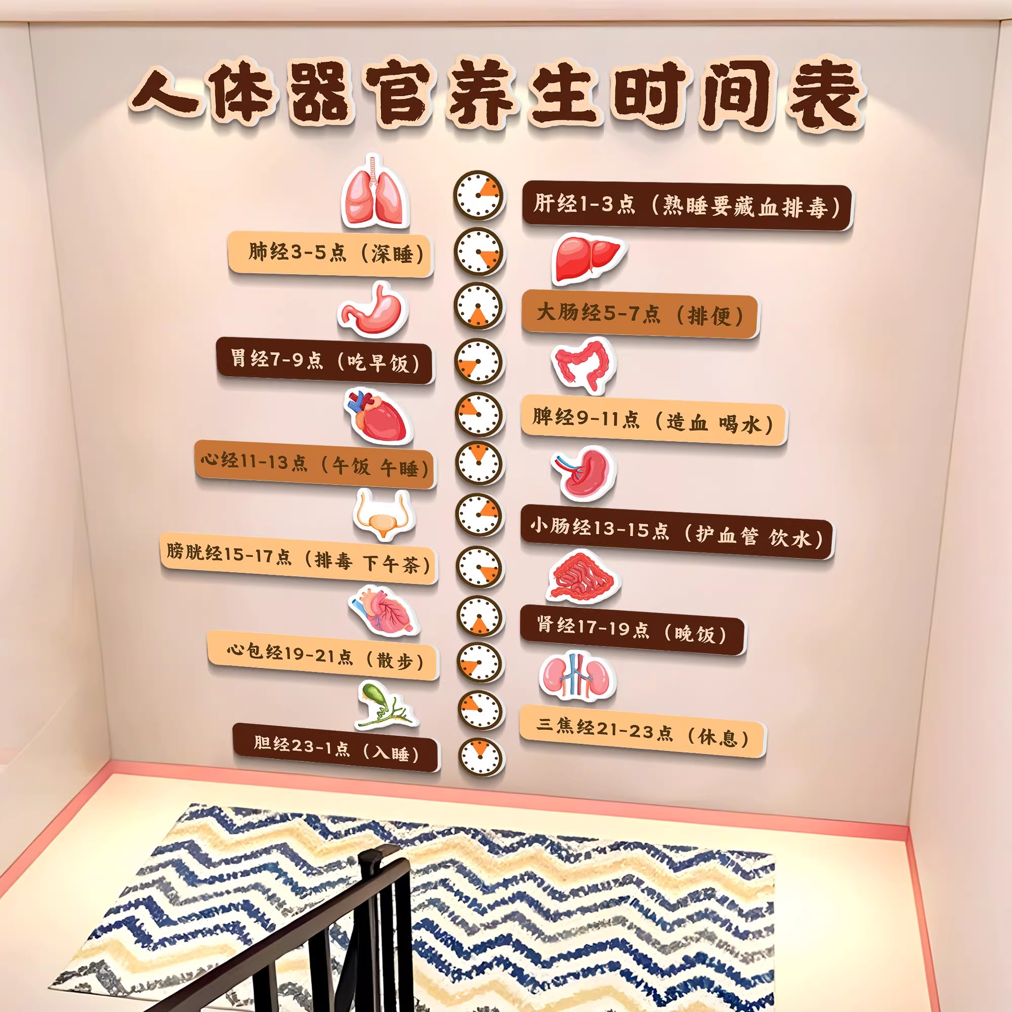 养生馆装饰画中医人体器官养生时间形象图理疗文化背景墙氛围布置
