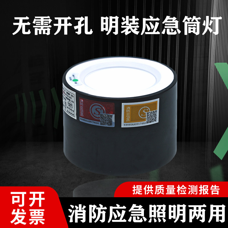 3C认证明装消防应急照明两用筒灯2.5寸3.5寸4寸消防吸顶应急筒灯