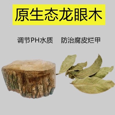 乌龟天然龙眼木晒台龟缸造景沉木摆件防腐皮腐甲龙眼叶养龟休息台