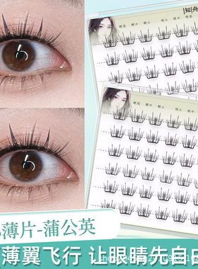 【免胶小薄片】弯弯烟花新品轻柔超细自然浓密弧形梗睫毛新手轻薄