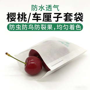 樱桃套袋车厘子专用套袋草莓保护袋大樱桃纸袋防虫防鸟防裂口腊袋