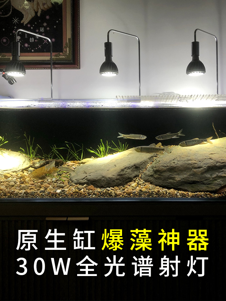 led爆藻长光30植物补光灯植灯天下热款工程灯鱼缸光W谱生全联块根