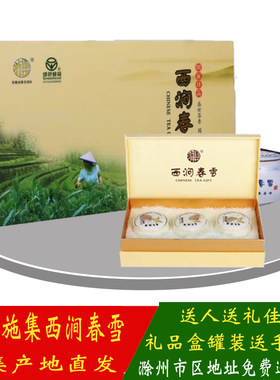 2026施集西涧春雪绿茶叶