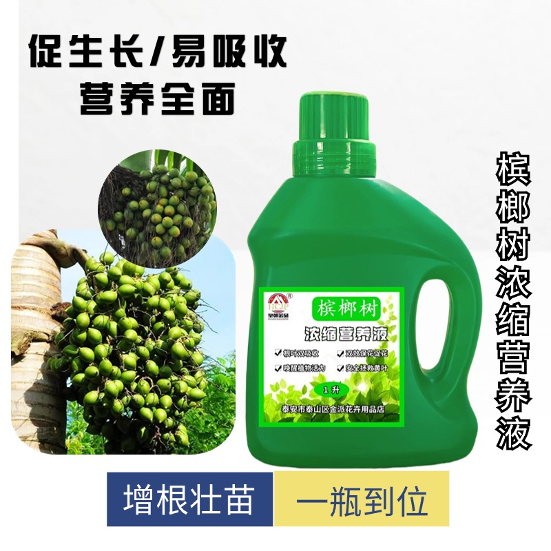 槟榔树树苗专用浓缩营养液