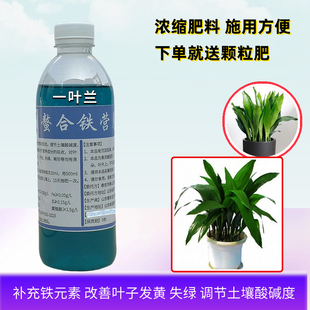 一叶兰专用螯合铁营养液家用客厅盆栽喜酸性养植物水培浓缩花肥料