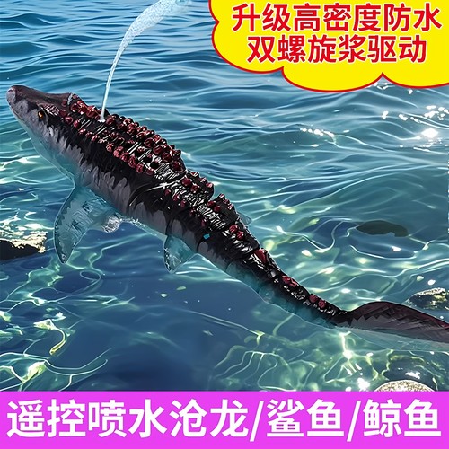 遥控沧龙玩具送礼生日礼物