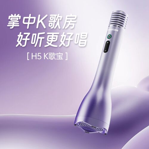 得胜H5大音量高音质音响话筒一体