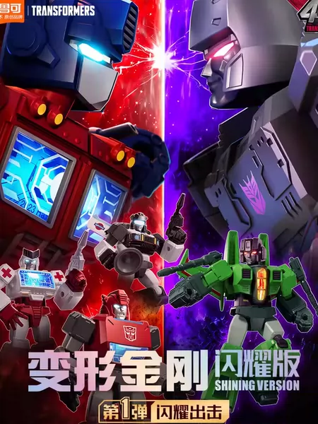 Товары от 张世亮10053