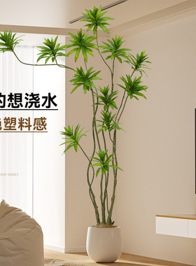百合竹仿真绿植盆景室内装饰