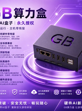 ai算力盒子eb洲GB算力nv盒子游戏OBS外设AI算力硬件ai吸附CS2通用