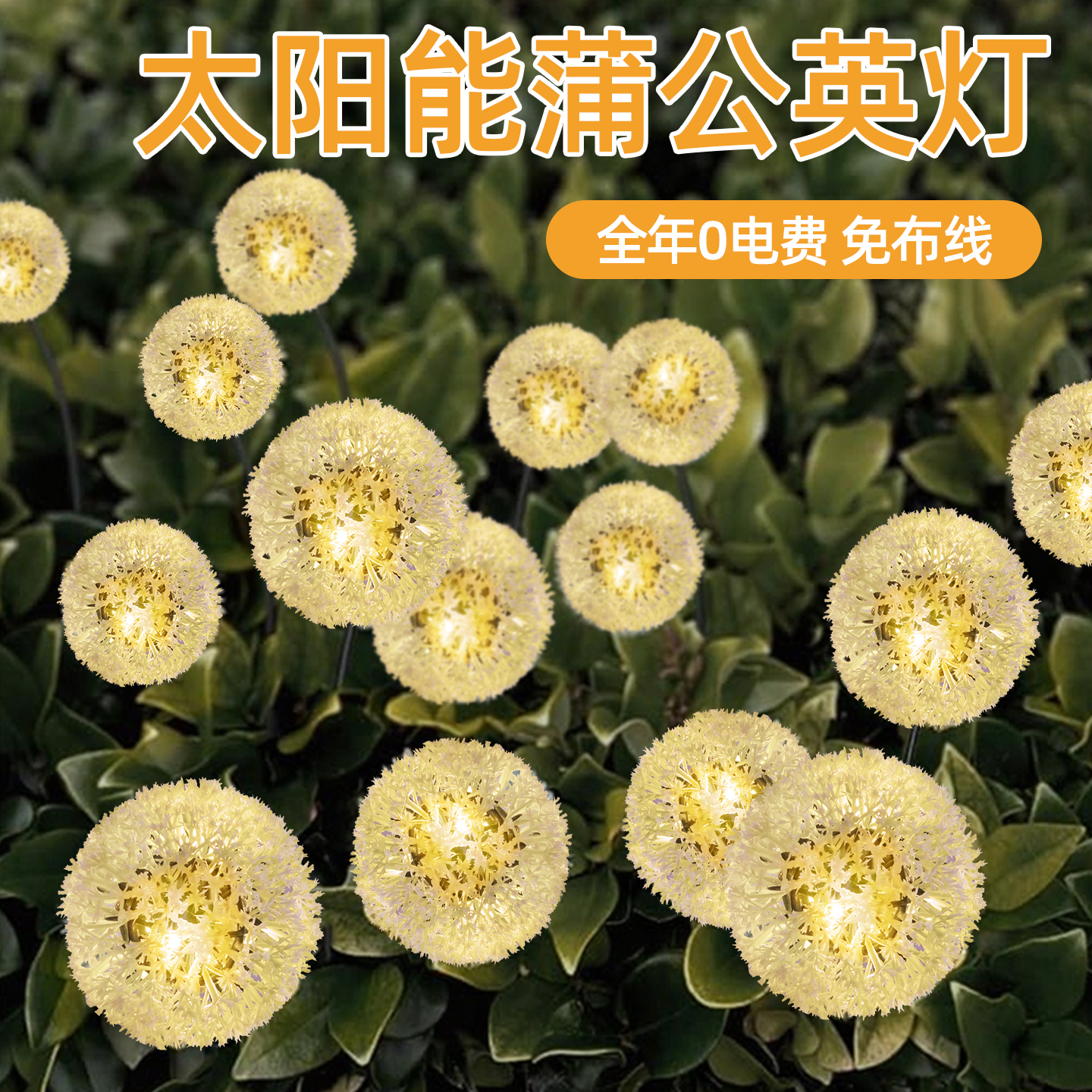 太阳能户外灯家用庭院造景布置2025新款网红小院花园草坪蒲公英灯