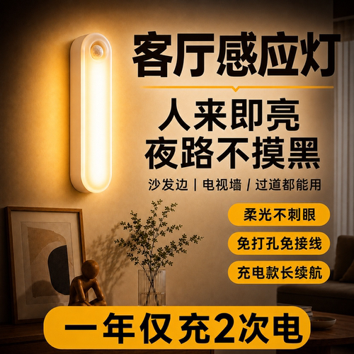 客厅夜间人来自动亮灯