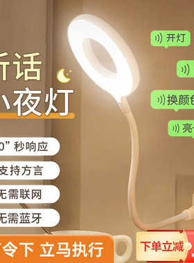 智能语音台灯控制灯USB声控灯感应灯led插口小夜灯一体床头灯