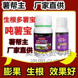 吨薯宝生根多薯宝快速生根剂膨大红薯专用薯帮主 薯帮主厂家直供