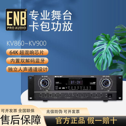 ENB KV880功放机家用大功率蓝牙防啸叫KTV家庭卡拉OK音响套装200W