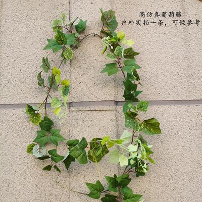 新品仿真葡萄藤条叶自然美创