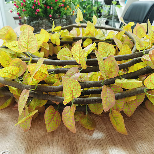仿真绿植造阻燃树藤条场景布置