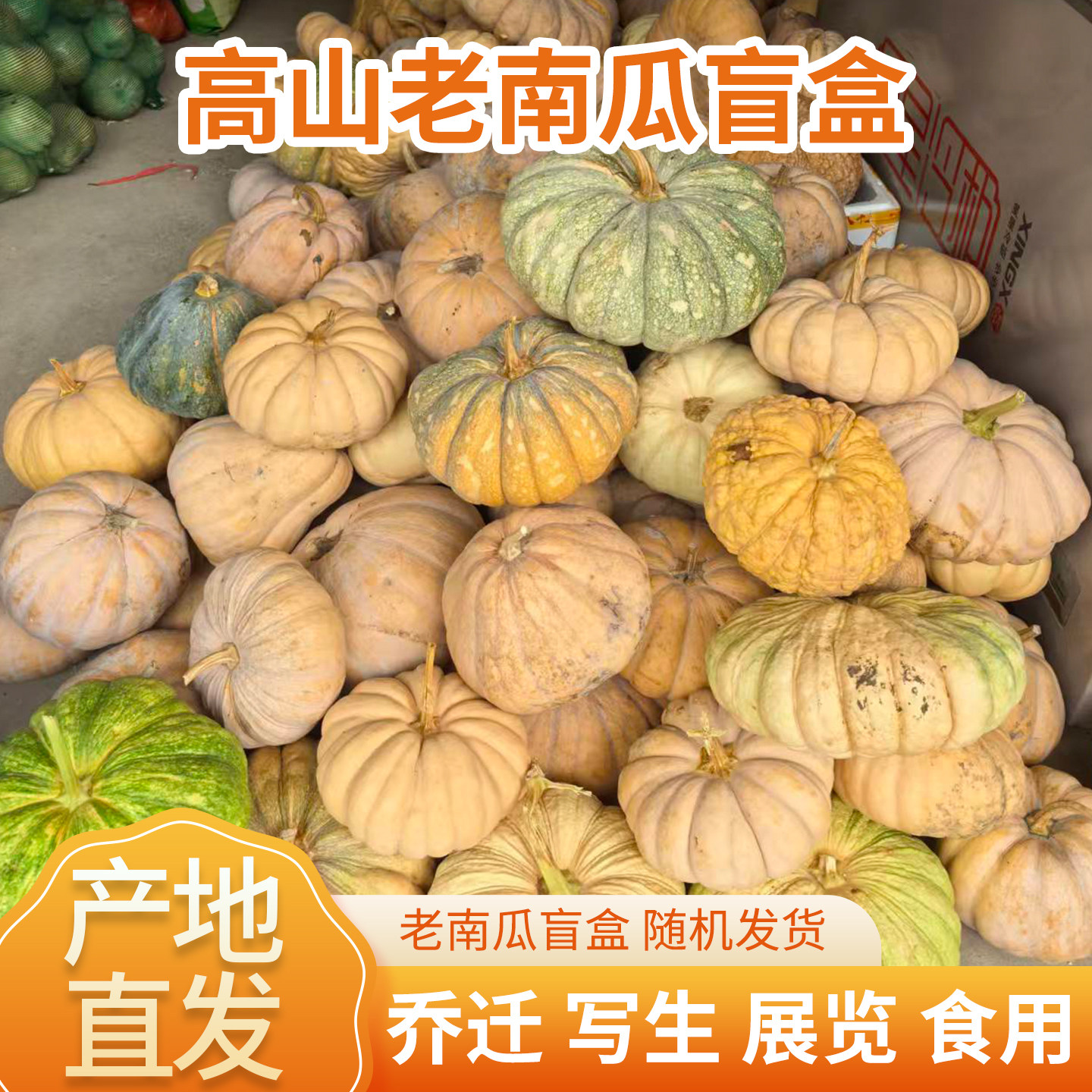 农家多品种老南瓜盲盒大货批发写南瓜