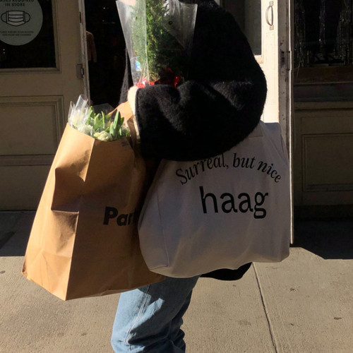 haag正品原创韩版单肩帆布包