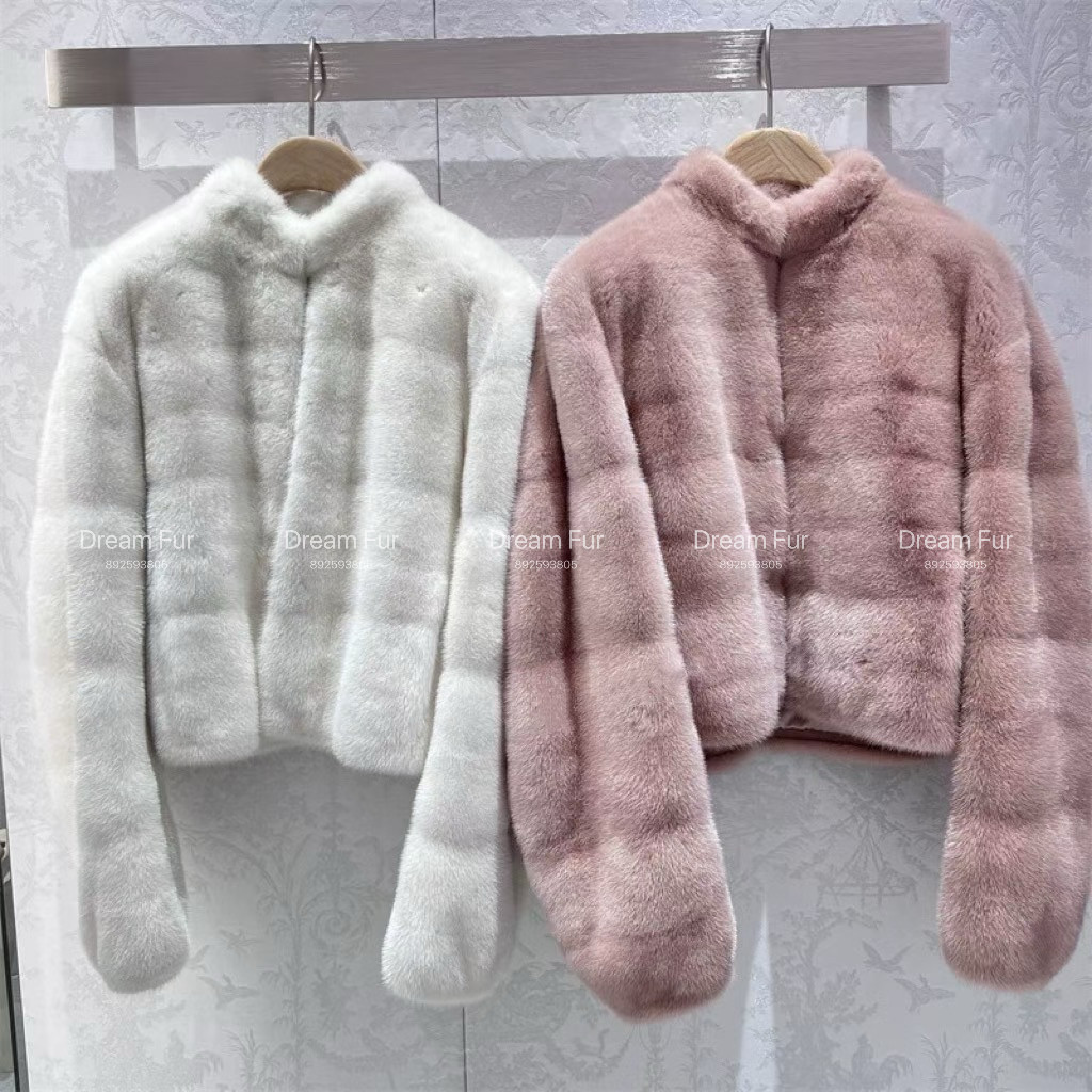 Dream 进口水貂整貂立领貂皮大衣皮草外套减龄女短款冬